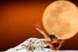 Αισθητική παρέμβαση της κινέζικης ιατρικής