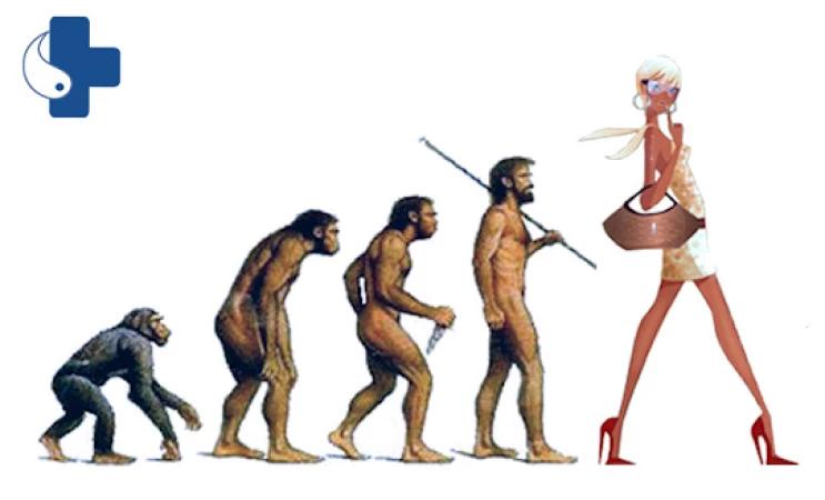femulate_evolution